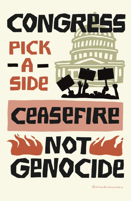 Congress - Pick A Side (by Miranda Cohen - 2023)