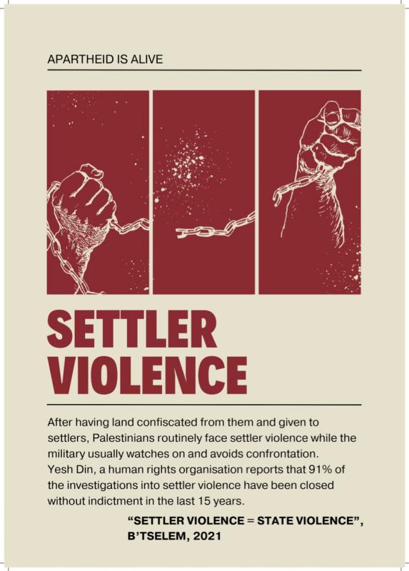 Settler Violence (by @educateandreflect321 - 2023)