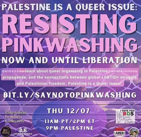 Resisting Pinkwashing (by Research in Progress  - 2023)