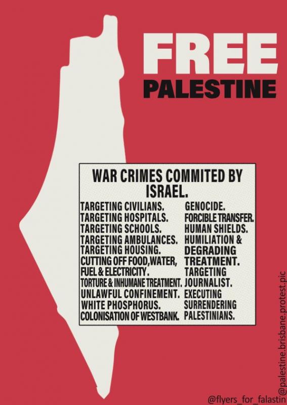 War Crimes Committed by Israel (by @palestine.brisbane.protest.pic - 2024)
