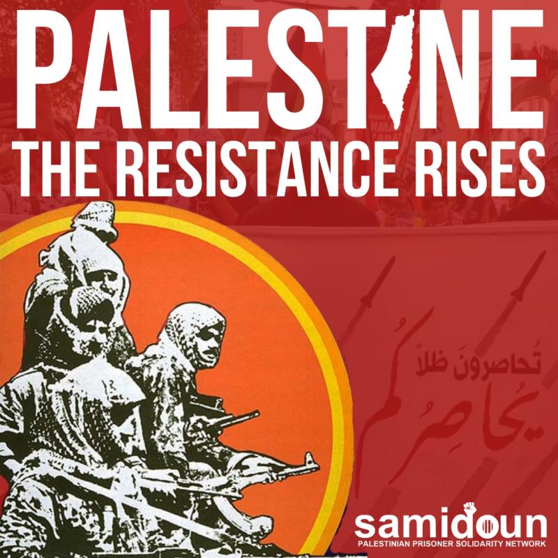 Palestine - The Resistance Rises (by Research in Progress  - 2023)