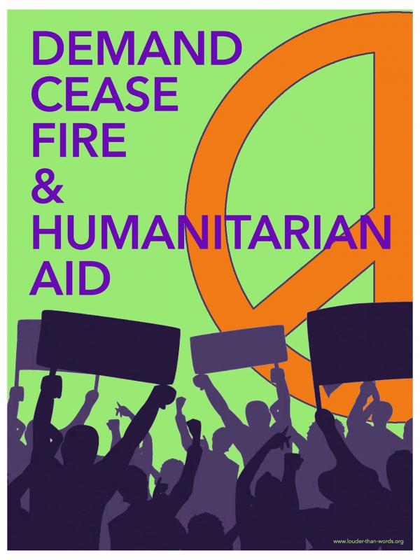 Demand Cease Fire (by S.A. Bachman - 2023)