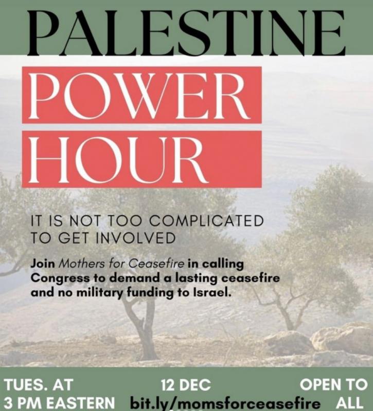 Palestine Power Hour (by Research in Progress  - 2023)
