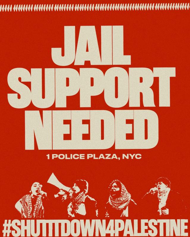 Jail Support Needed (by Research in Progress  - 2024)