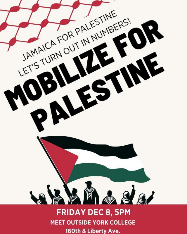 Mobilize for Palestine  (by Research in Progress  - 2024)